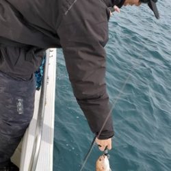遊漁船 ニライカナイ 釣果