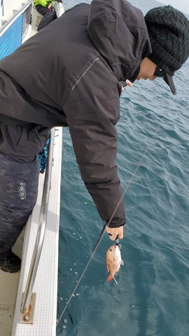 遊漁船 ニライカナイ 釣果