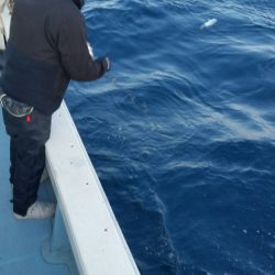 第五慶門丸 釣果