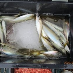 下関フィッシングパーク 釣果