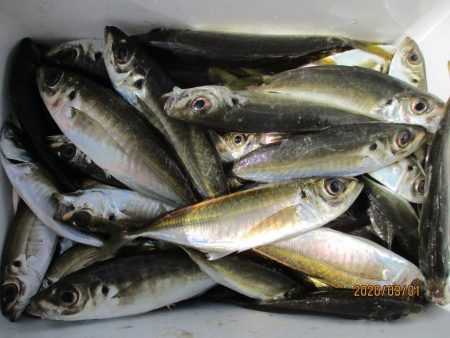 下関フィッシングパーク 釣果