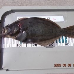 姫路市立遊魚センター 釣果