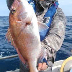 遊漁船 新鋭丸 釣果