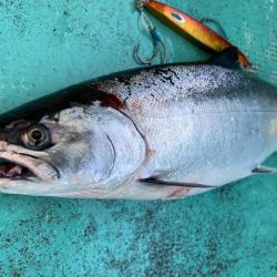 広進丸 釣果