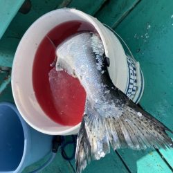 広進丸 釣果