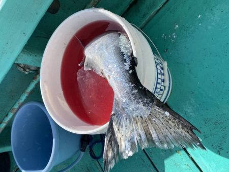広進丸 釣果