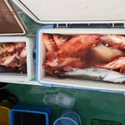 第二むつ漁丸 釣果