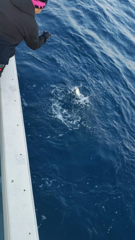 第五慶門丸 釣果