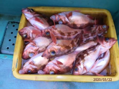 第二むつ漁丸 釣果