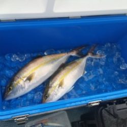 第五慶門丸 釣果