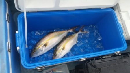 第五慶門丸 釣果