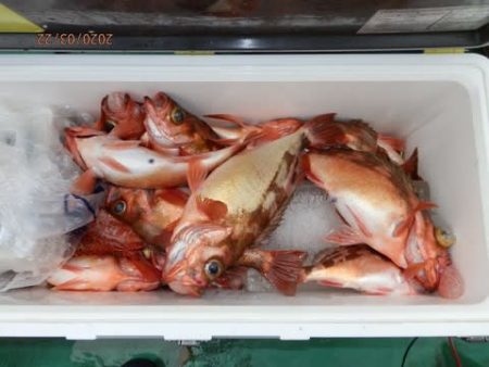 第二むつ漁丸 釣果