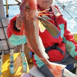 遊漁船　ニライカナイ 釣果