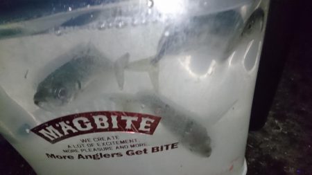 人生初エステル！！