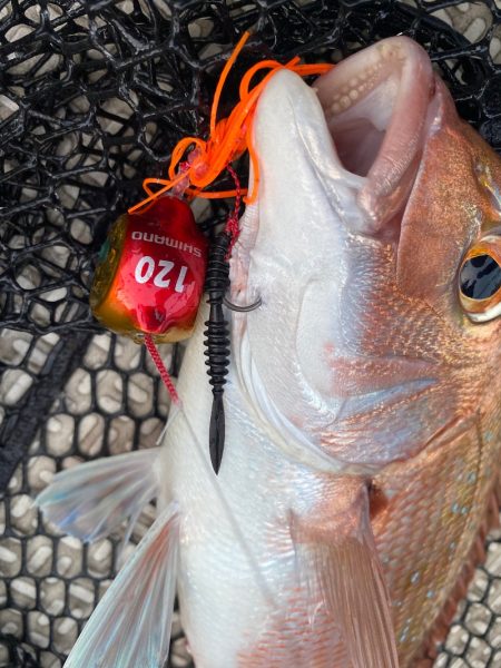 龍神丸(鹿児島) 釣果