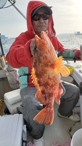 遊漁船　ニライカナイ 釣果