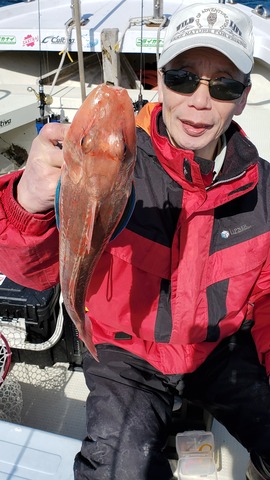 遊漁船　ニライカナイ 釣果