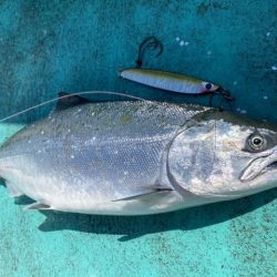広進丸 釣果