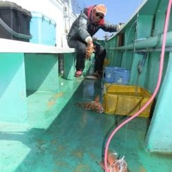 第二むつ漁丸 釣果