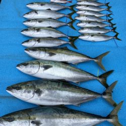 まるいち丸 ZERO-1 釣果