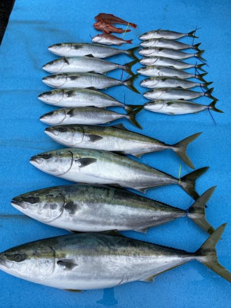 まるいち丸 ZERO-1 釣果