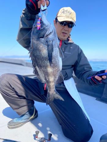 シーマジカル 釣果