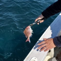 遊漁船　ニライカナイ 釣果