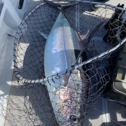 へいみつ丸 釣果