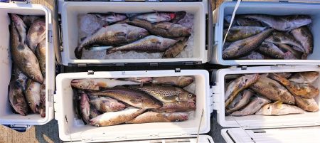 気仙沼　つり丸 釣果