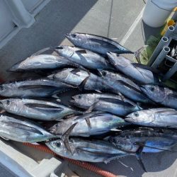 へいみつ丸 釣果