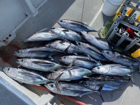 へいみつ丸 釣果