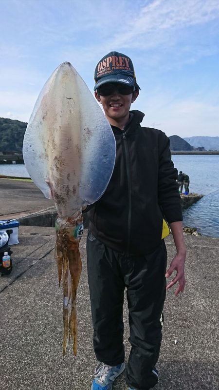 筏マルキ 釣果