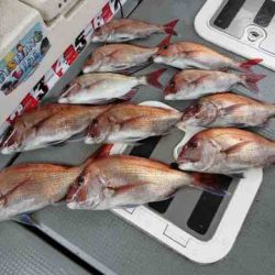 遊漁船 セトマリン 釣果