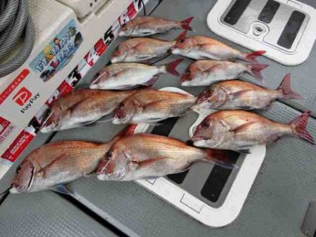 遊漁船 セトマリン 釣果