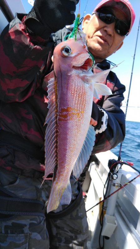 遊漁船 新鋭丸 釣果