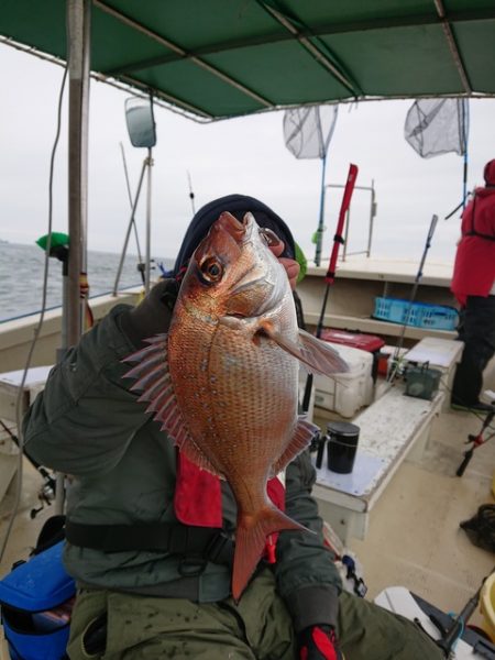 たかみ丸 釣果