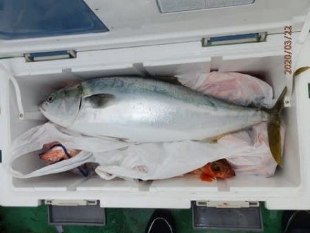 第二むつ漁丸 釣果