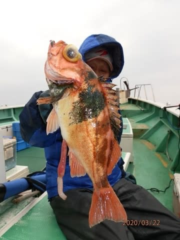 第二むつ漁丸 釣果