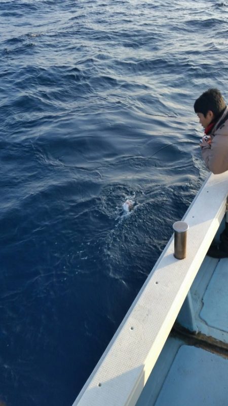 第五慶門丸 釣果