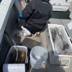 第八大安丸 釣果