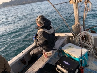 幸吉丸 釣果