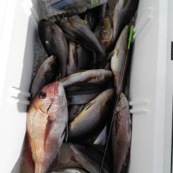 第二大福丸 釣果