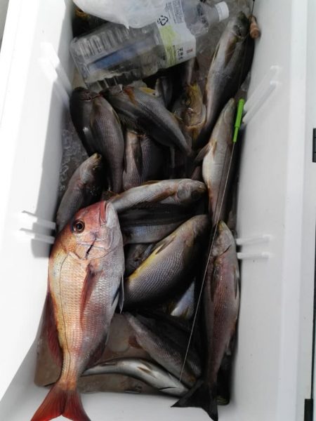 第二大福丸 釣果