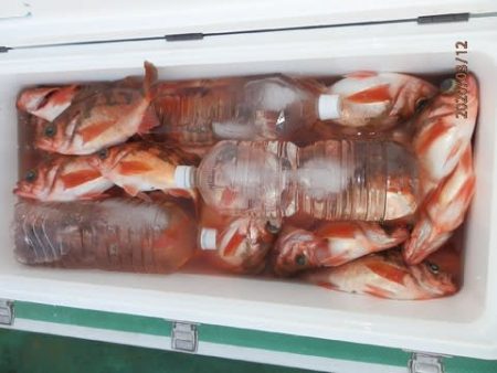 第二むつ漁丸 釣果