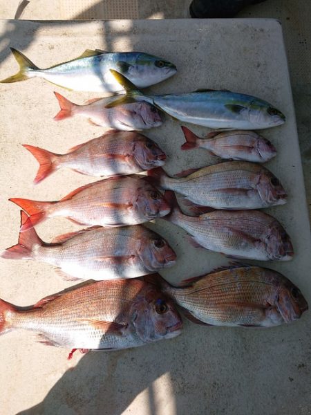 たかみ丸 釣果