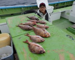 久里浜黒川本家 釣果