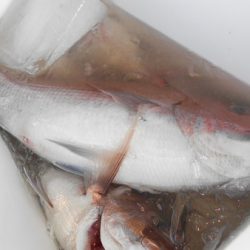 こうゆう丸 釣果