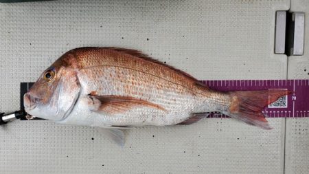 遊漁船 ニライカナイ 釣果