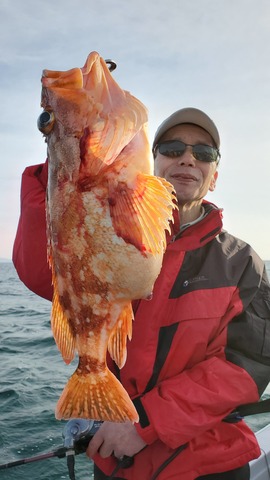 遊漁船　ニライカナイ 釣果