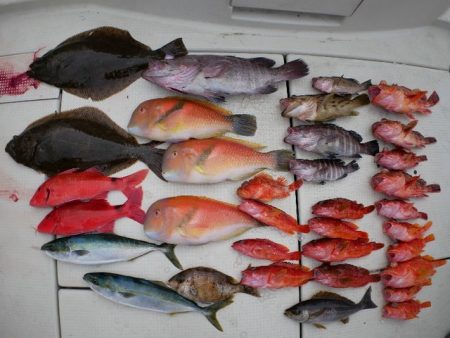 TOPGUN名古屋 釣果